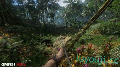 丛林地狱/Green Hell（别名：绿色地狱）-中文绅士游戏下载,黄游,色情手机游戏,绅士漫画,里番